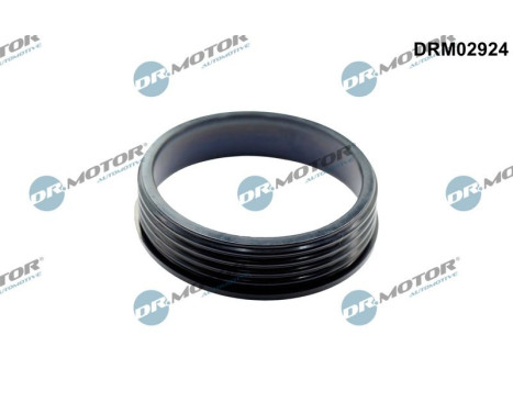 Sealing ring, charge air hose