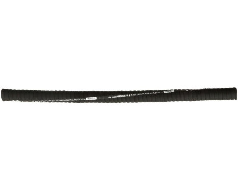 Snake 23930 Gates