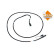 Urea Hose