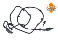Urea Hose