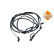 Urea Hose