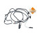 Urea Hose