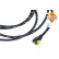 Urea Hose