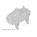 Expansion tank, coolant ADBP980009 Blue Print