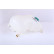 Expansion Tank, coolant, Thumbnail 2