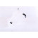 Expansion Tank, coolant, Thumbnail 4