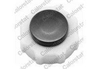 Expansion Tank, coolant