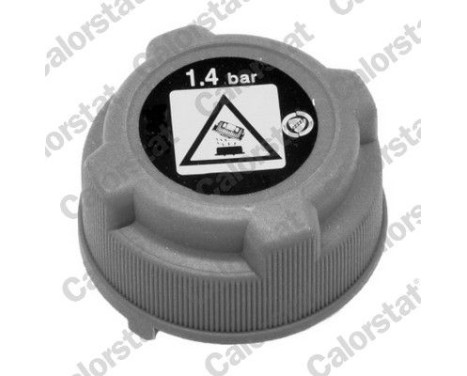 Expansion Tank, coolant