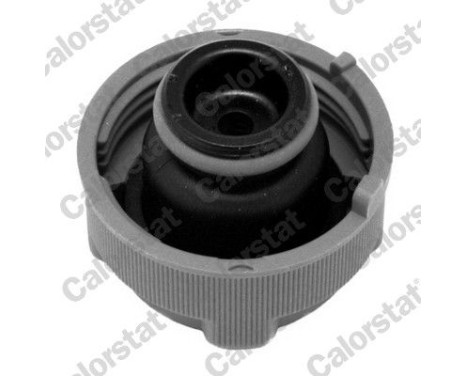 Expansion Tank, coolant, Image 2