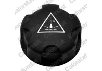 Expansion Tank, coolant