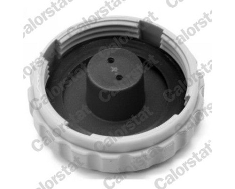 Expansion Tank, coolant, Image 2