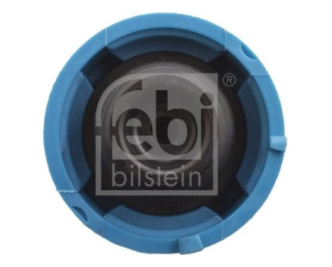 frost plug for radiator expansion vessel 183372 FEBI, Image 2