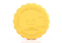 radiator cap