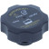 Radiator cap