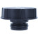 Radiator cap