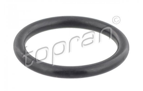 Seal Ring, radiator cap bolt