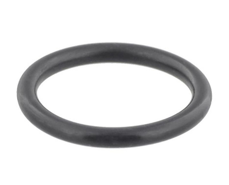 Seal Ring, radiator cap bolt