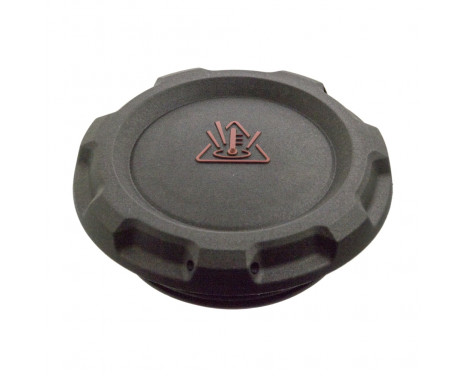 Sealing Cap, coolant tank 103522 FEBI