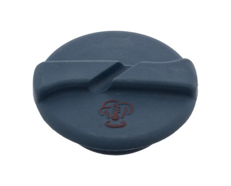 Sealing Cap, coolant tank 40724 FEBI