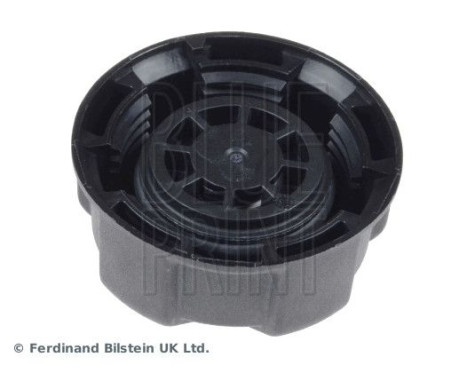 Sealing Cap, coolant tank ADB119901 Blue Print, Image 4