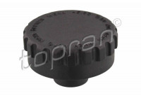 Sealing Cap, coolant tank