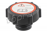 Sealing Cap, coolant tank