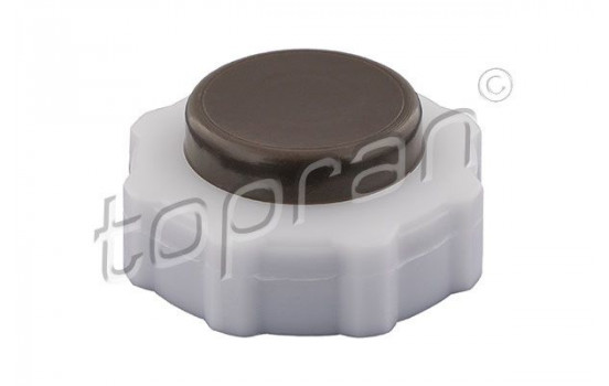 Sealing Cap, coolant tank