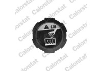 Sealing Cap, coolant tank
