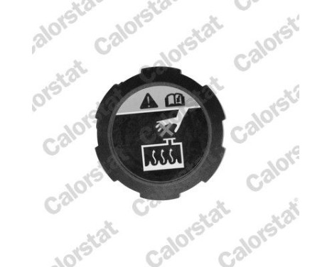 Sealing Cap, coolant tank