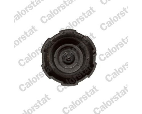 Sealing Cap, coolant tank, Image 2