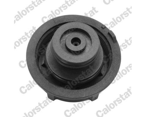 Sealing Cap, coolant tank, Image 2