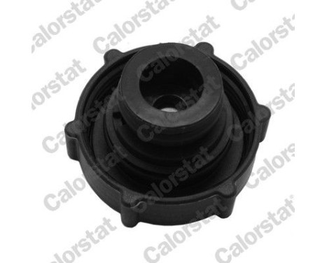 Sealing Cap, coolant tank, Image 2