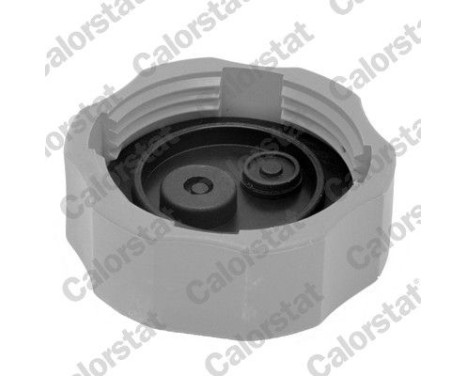 Sealing Cap, coolant tank, Image 2