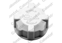 Sealing Cap, coolant tank