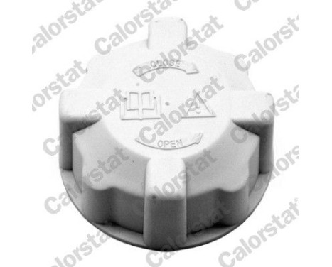 Sealing Cap, coolant tank