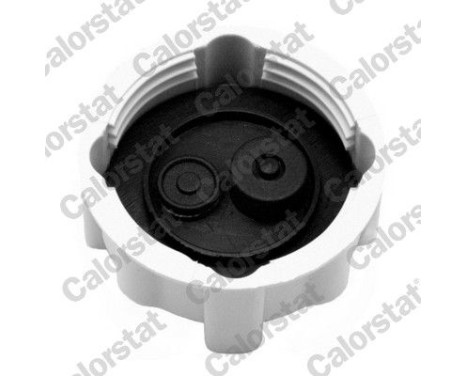 Sealing Cap, coolant tank, Image 2