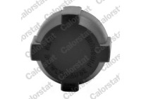 Sealing Cap, coolant tank