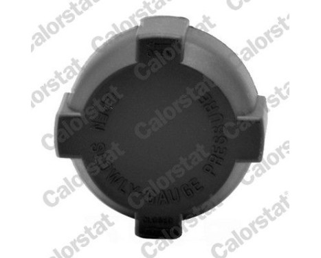 Sealing Cap, coolant tank
