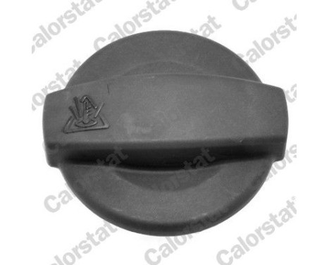 Sealing Cap, coolant tank