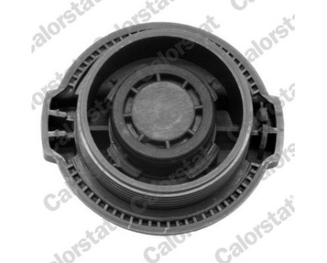 Sealing Cap, coolant tank, Image 2
