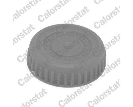 Sealing Cap, coolant tank