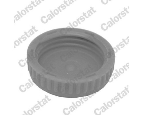 Sealing Cap, coolant tank, Image 2