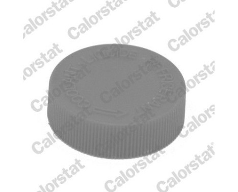 Sealing Cap, coolant tank