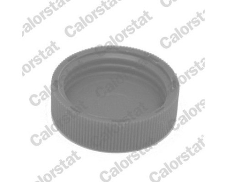 Sealing Cap, coolant tank, Image 2