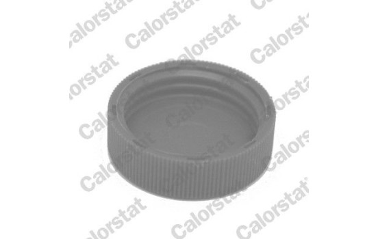 Sealing Cap, coolant tank, Image 2
