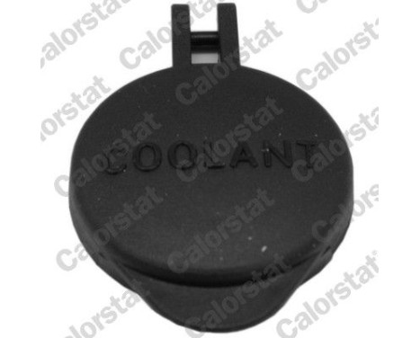 Sealing Cap, coolant tank