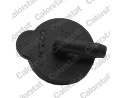 Sealing Cap, coolant tank