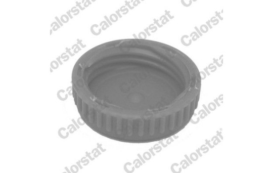 Sealing Cap, coolant tank, Image 2