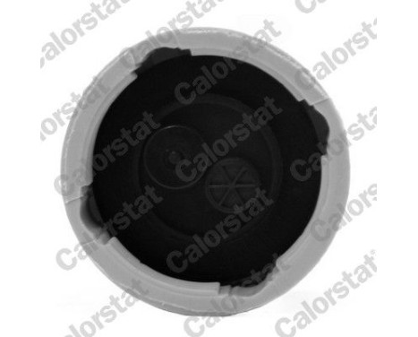 Sealing Cap, coolant tank, Image 2