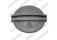 Sealing Cap, coolant tank